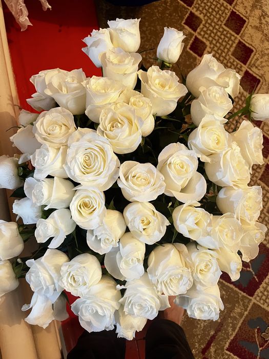 Ақ роза 51 шт бүгін келді