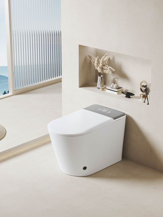 Унитазы / смарт и литые