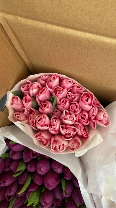 Тюльпаны Алматы к 8 марта 550