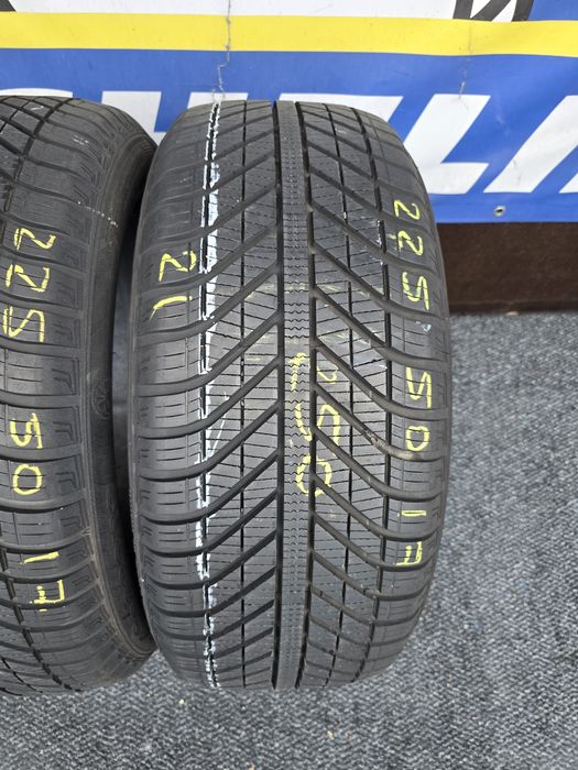 225 50 17 goodyear m+s