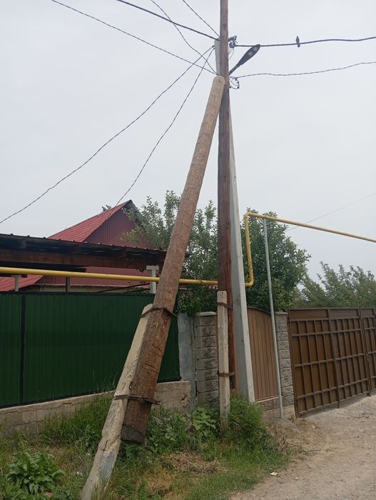 Деревянные столбы