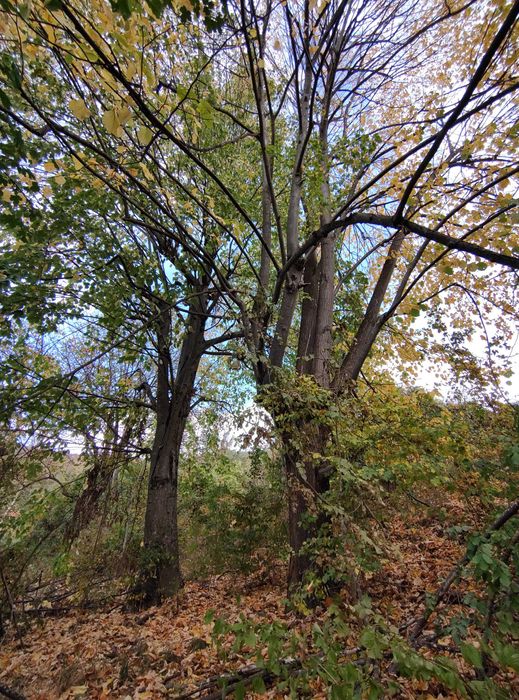 Продава се Къща в с. Малък извор, Област Ловеч - 104 кв.м за 354 €/кв.м - Снимка #12