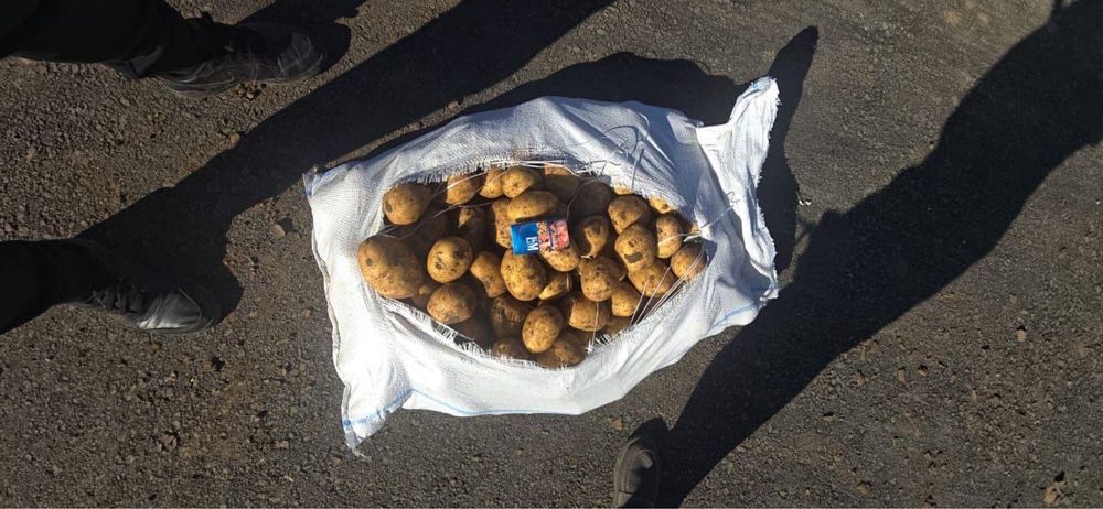Картошка из Павлодара