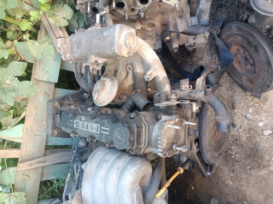 Нексиге маторлар бар