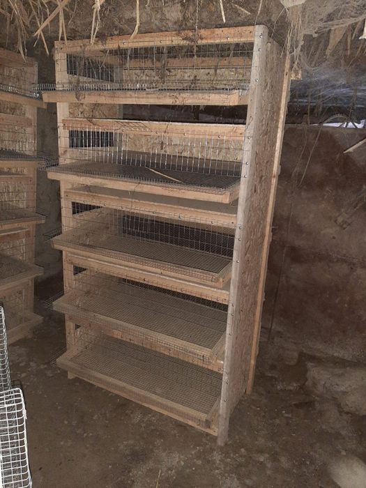 Бөдене асырайтын кепе