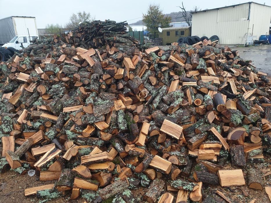 Дърва за Огрев 2024