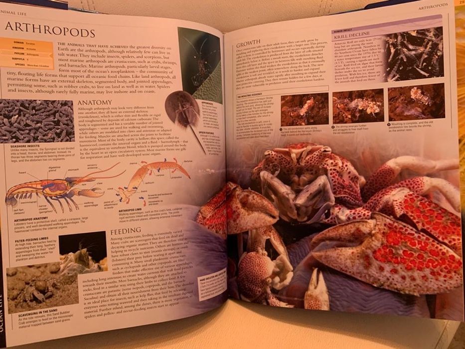 Enciclopedie scolara album  Ocean/ Oceane  editura DK