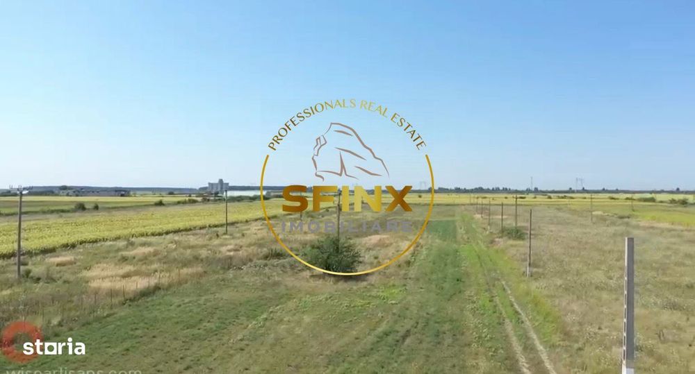 Teren Investitional Ciocanesti-Dambovita