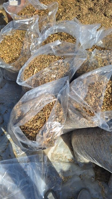 ДонСелос  мешок 20 кг стандарт   с даставкой  по городу Самаркандд