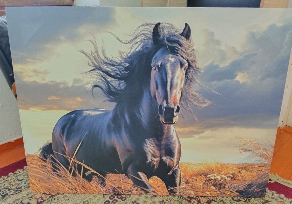 Фото картиналар холст+подрамник