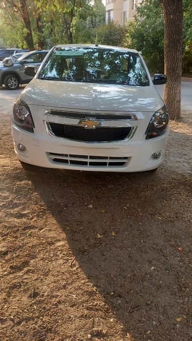 Cobalt midnight 2025