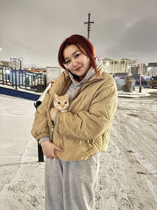 Котик, рыжий, красивый …..