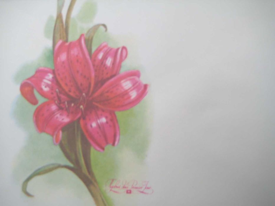 Конверты советские СССР