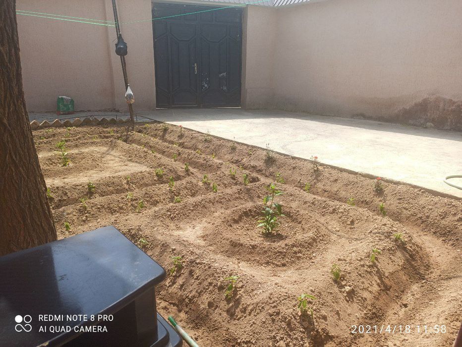 Kunlik oylik turar joy  30 000