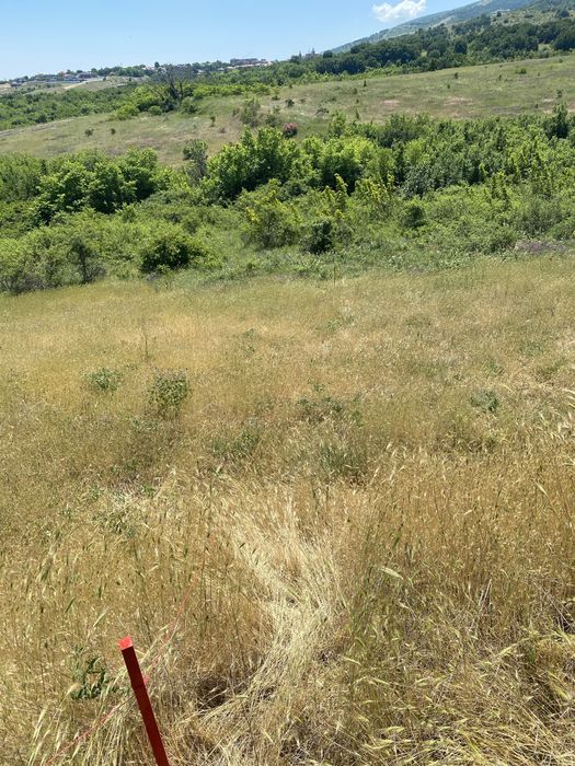 Земеделска земя Белащица/Марково