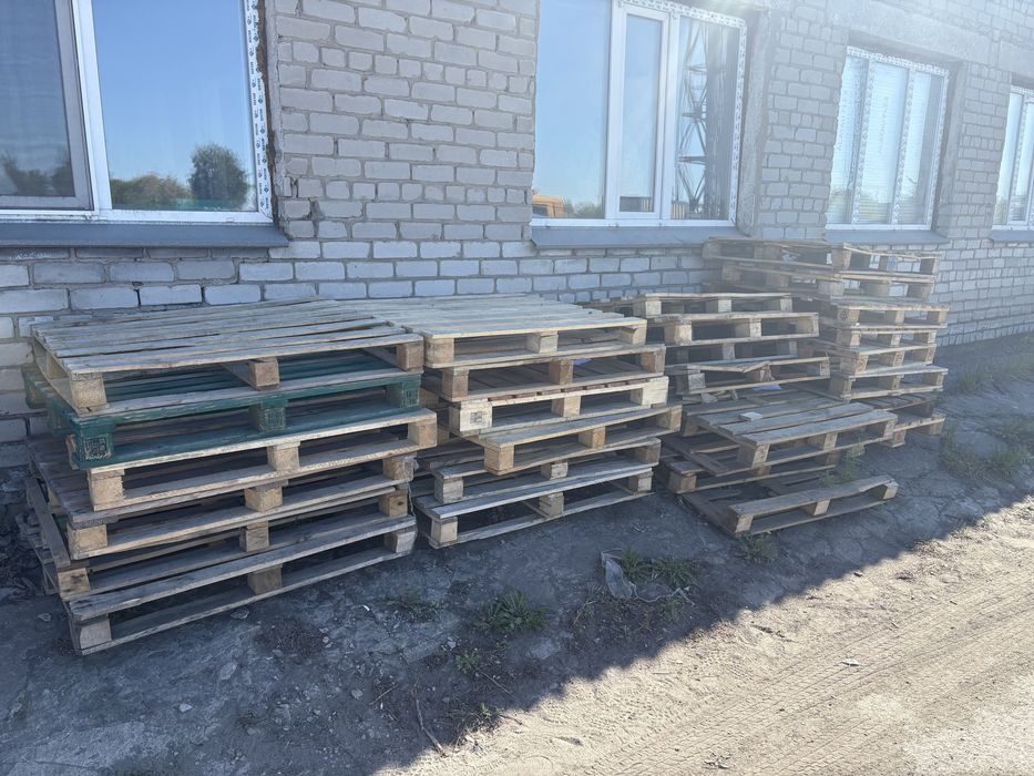 Поддоны хорошие, двух размеров