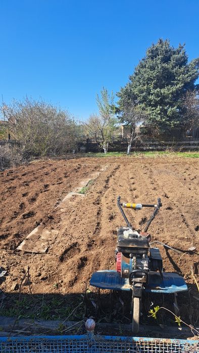 Услуги Кулътиватора