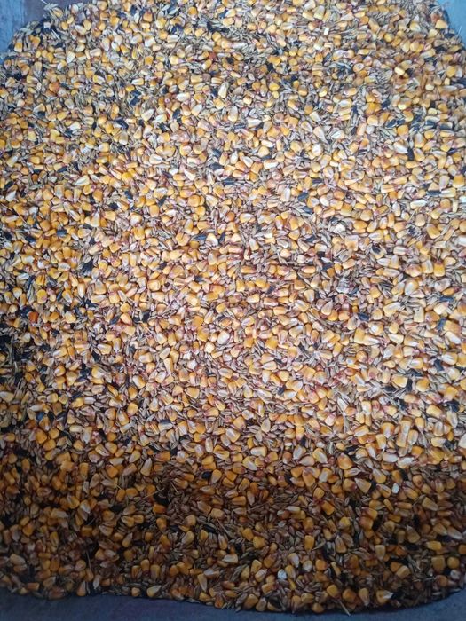 Vând amestec cereale.