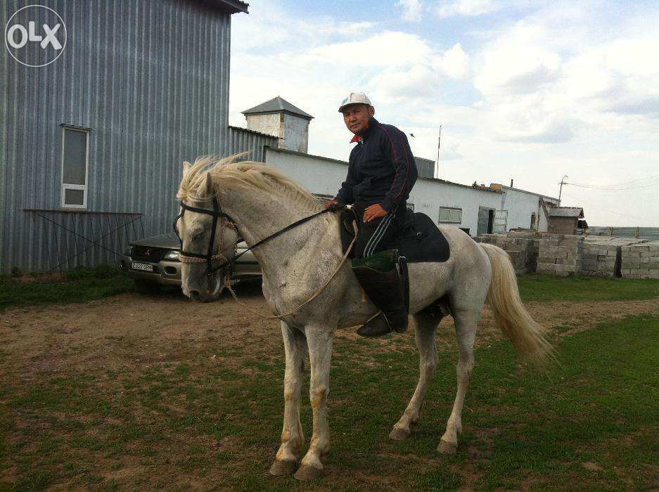 Продам Промбазу/Завод