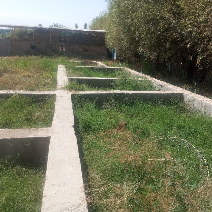 Uchastka ,uy sotiladi.Yashashga 3xona uy,oshxona,molxona ,