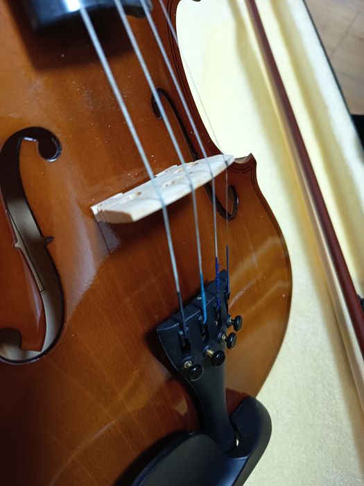 Set complet vioara 4/4 + încă 3 corzi