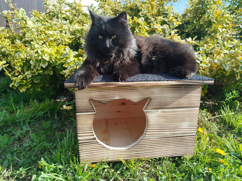 Къща за котки, Компакт, къщичка за коте, къщички за котета, колиби