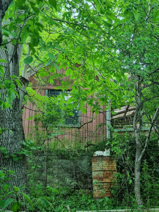 Vand teren intravilan str Negoiului, 540mp