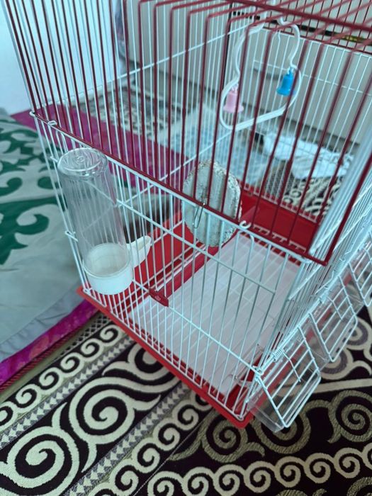 Продам домик для попугая и корм