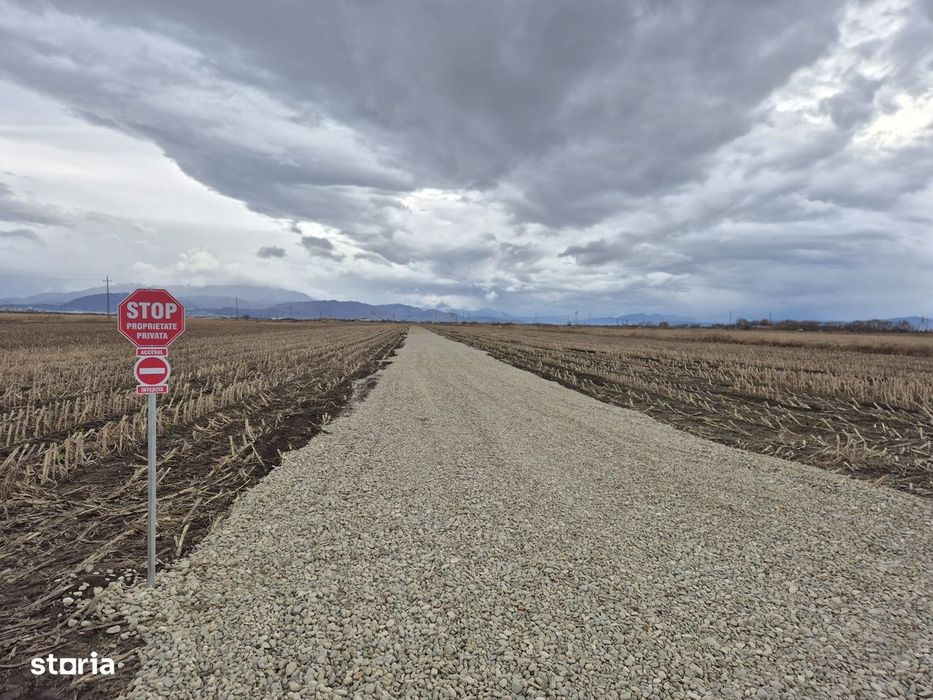 Teren intravilan 500mp in Brasov