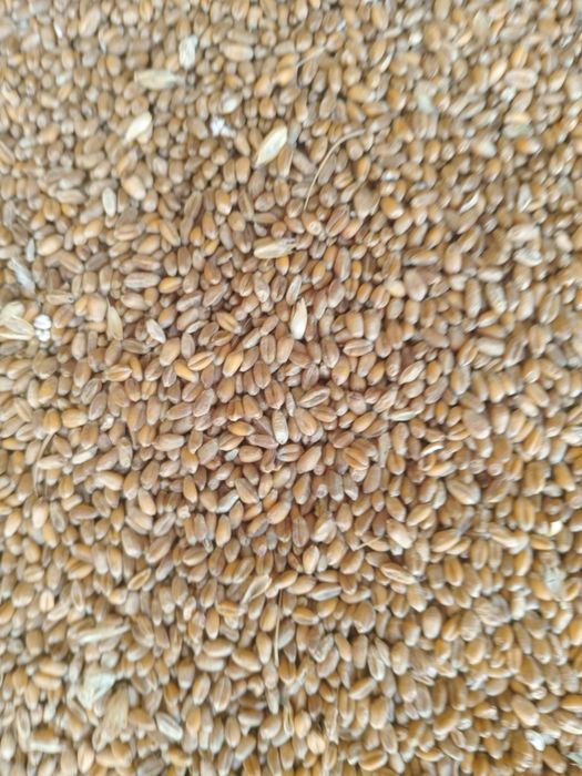 De vanzare cereale