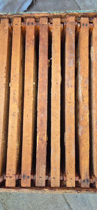 Caturi cu rame de1/2 crescute pentru stupi de 12 rame