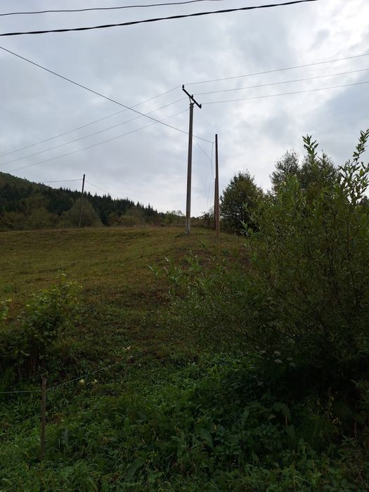 Vand teren intravilan si casa,Bistra, Valea Neagra, Maramures