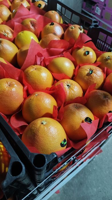 Грейпфрут Турция