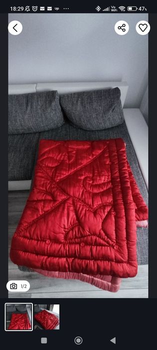 Plapuma / pilota  lana