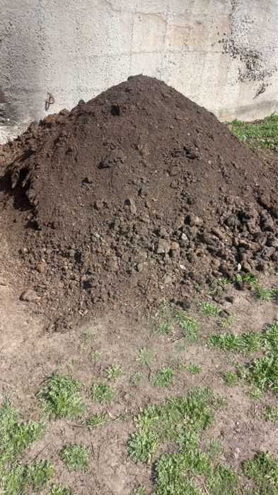 Черназем чистый