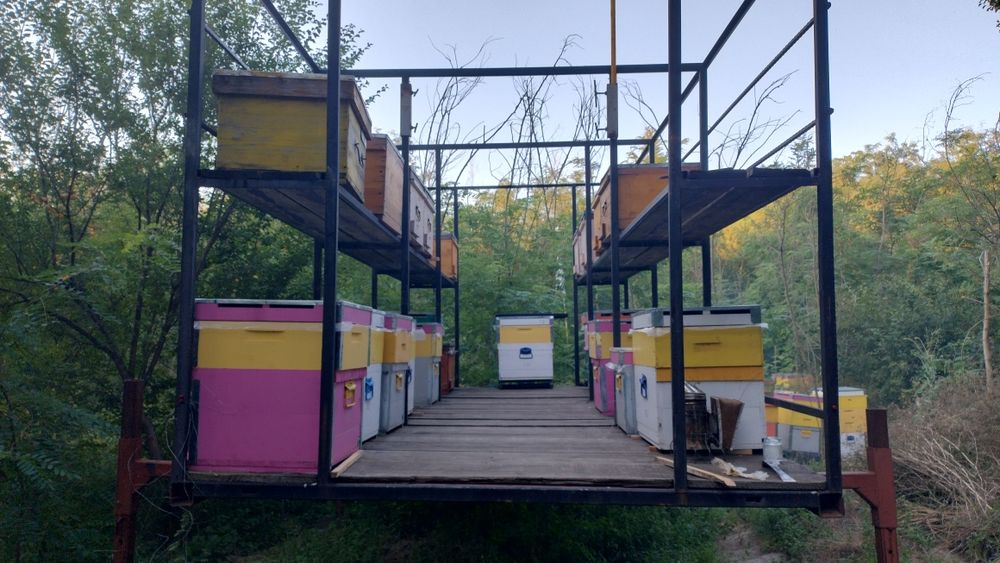 Vand / schimb două module apicole