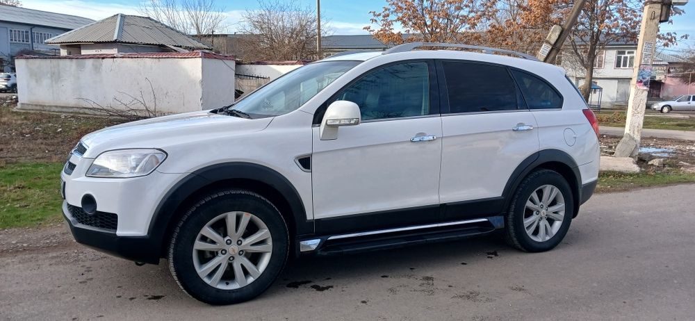 Каптива1 нахт, ВИКУПКА БОР