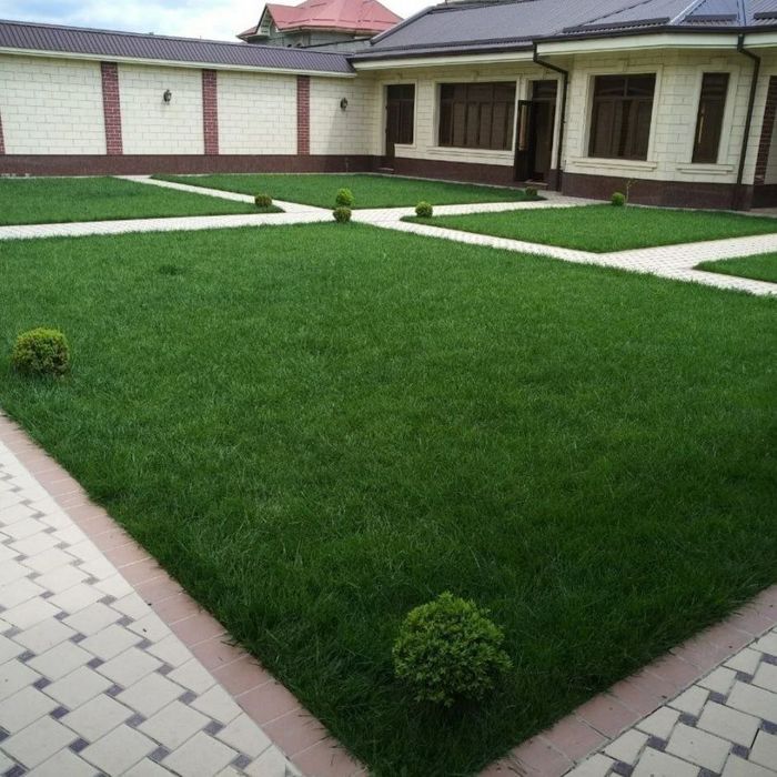 Газон ва гуллар.