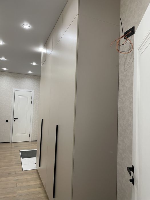 Встроенный шкаф в прихожей