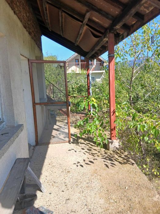 2бр. Вили в непосредствена близост.