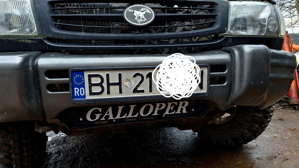 Grila bara fata fagure galloper