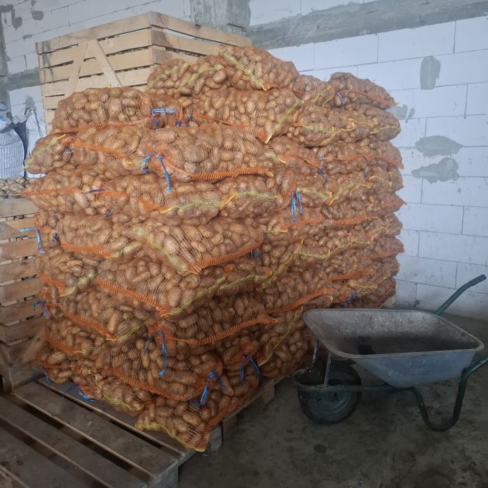 Cartofi albi si rosi de vanzare