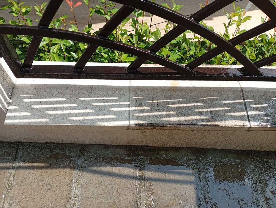 Кенаров професионално почистване