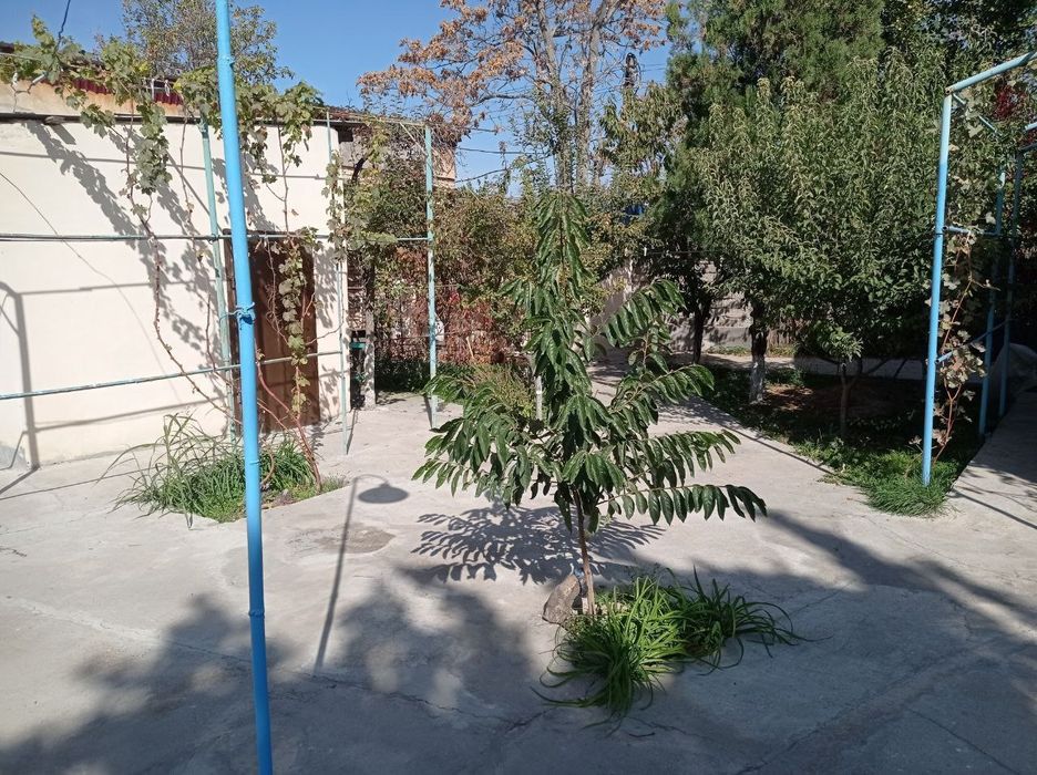 Продаётся дом (участок) за Парком Янги Узбекистан (Чингельди)