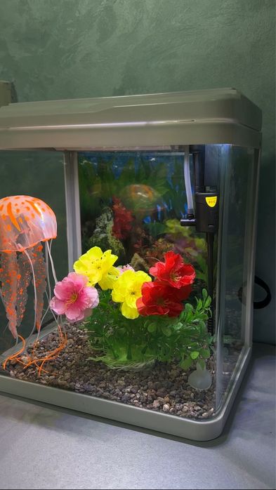 Аквариум 10 л для петушка (Betta)