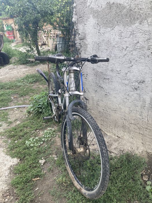 bike affairs torreth mtb