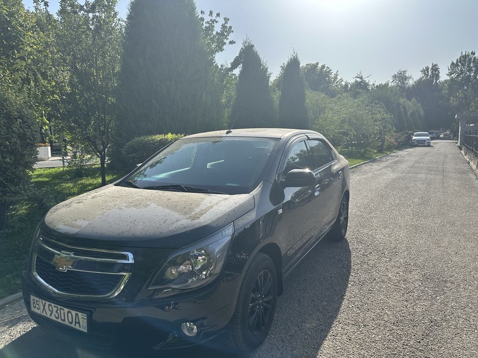 Midnight Kobalt Qora