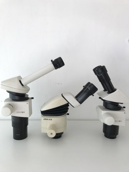 Microscop Leica MZ6, M80
