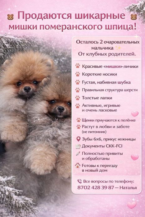 Остался шикарный мальчик