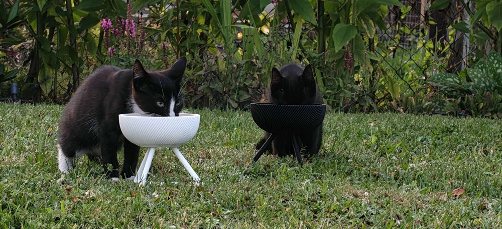 Миска для кошки 3D